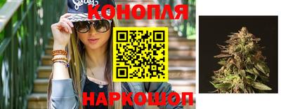 PSILOCYBIN Моздок