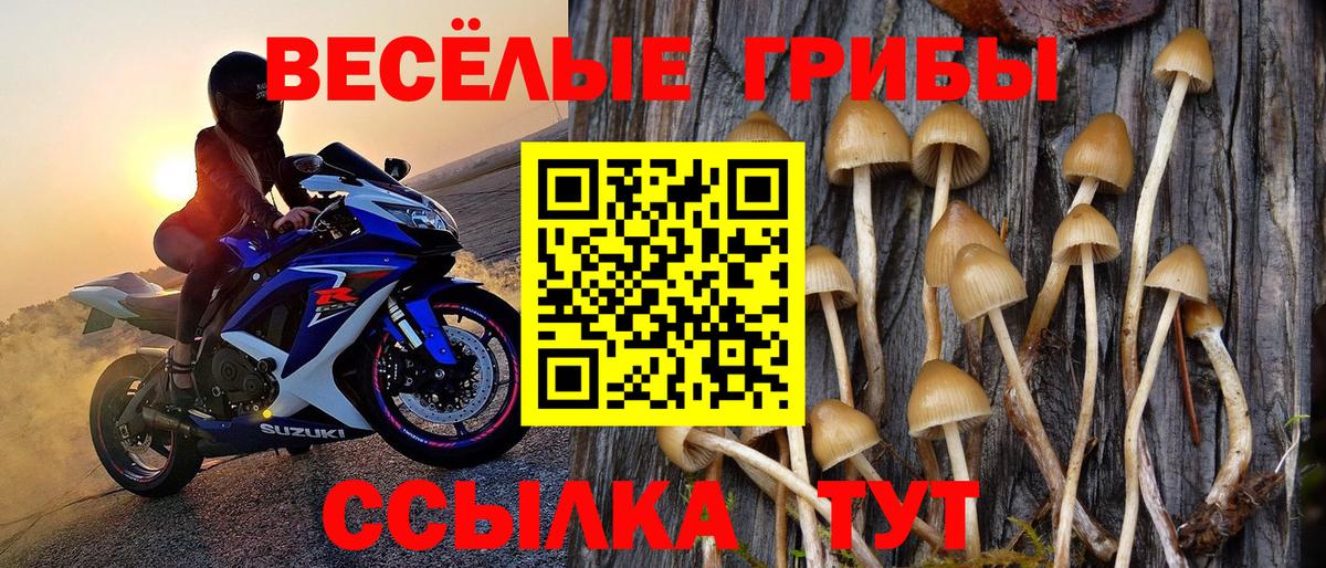 Галлюциногенные грибы мухоморы  Псилоцибиновые грибы Cubensis  как найти наркотики  Вход с VPN  Бутурлиновка 